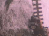 DSC02410